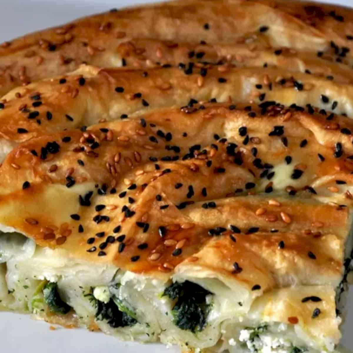Ispanaklı Tepsi Böreği