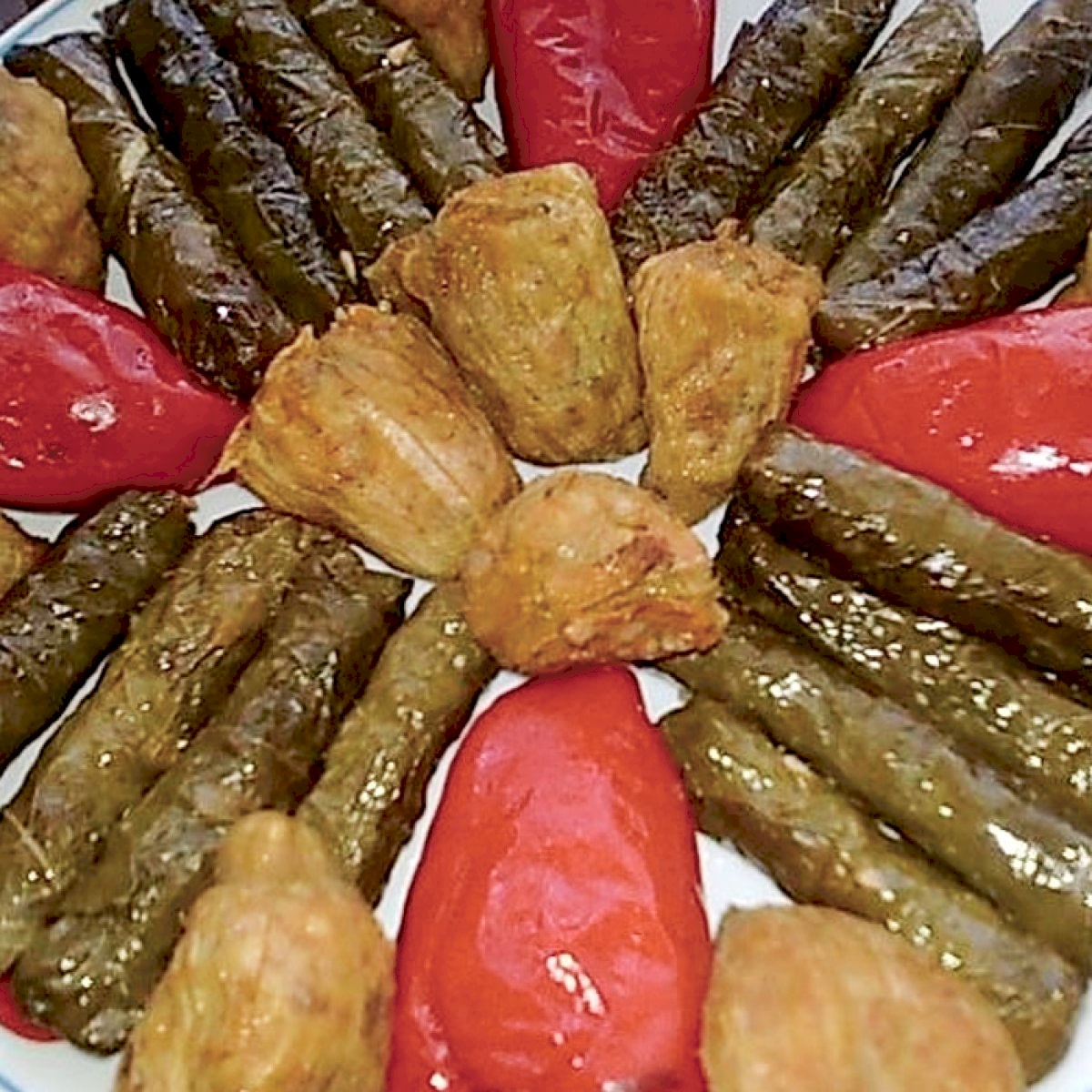 Karışık Dolma