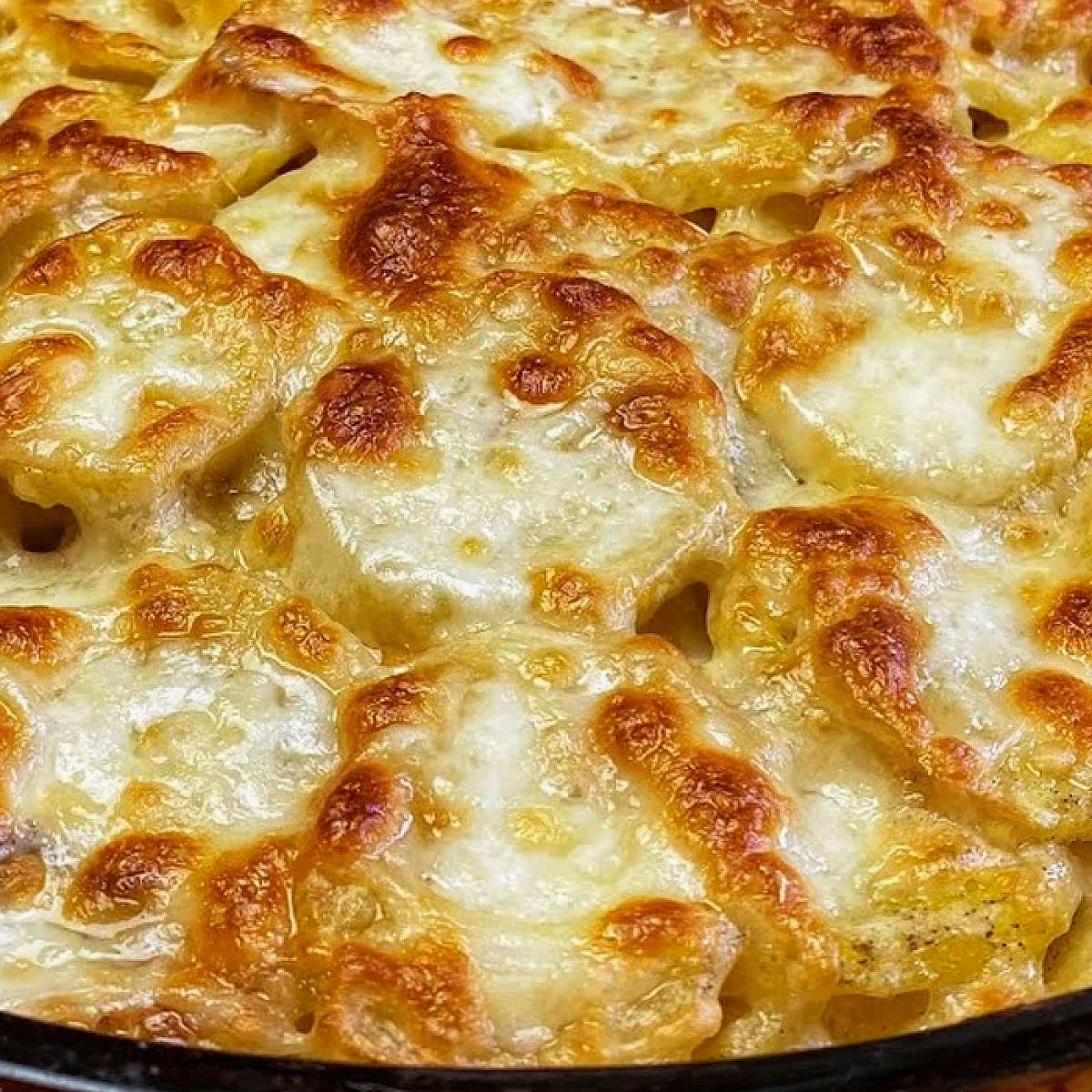 Kremalı Patates