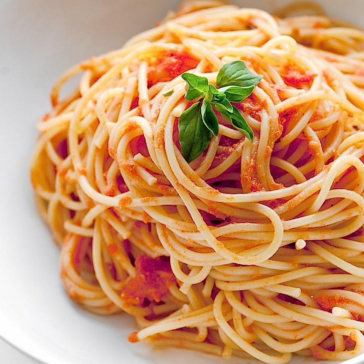 Sphagetti