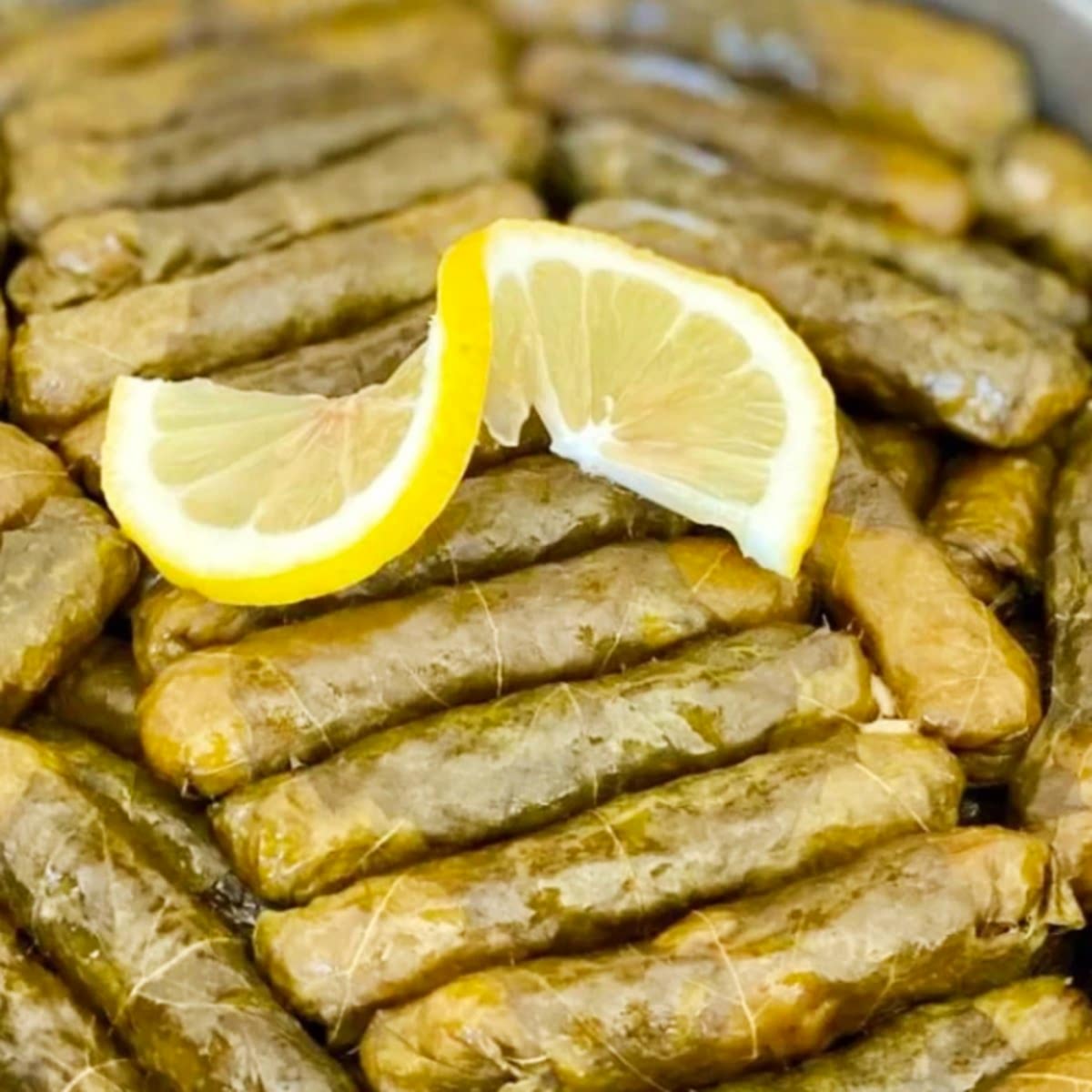 Yaprak Sarması